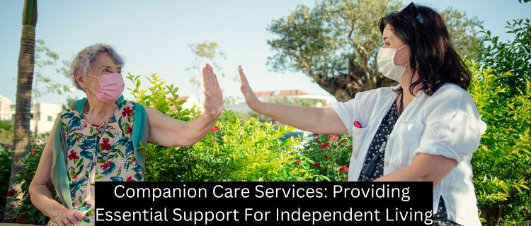 Companion Care Services: Providing Essential Support For Independent Living